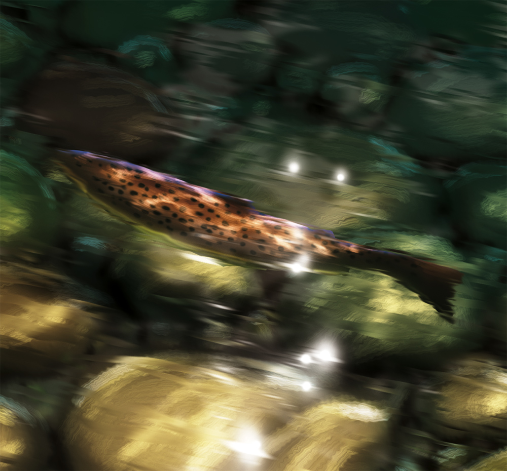 Digital painting of a Brown Trout in a shimmering sunlit stream.
